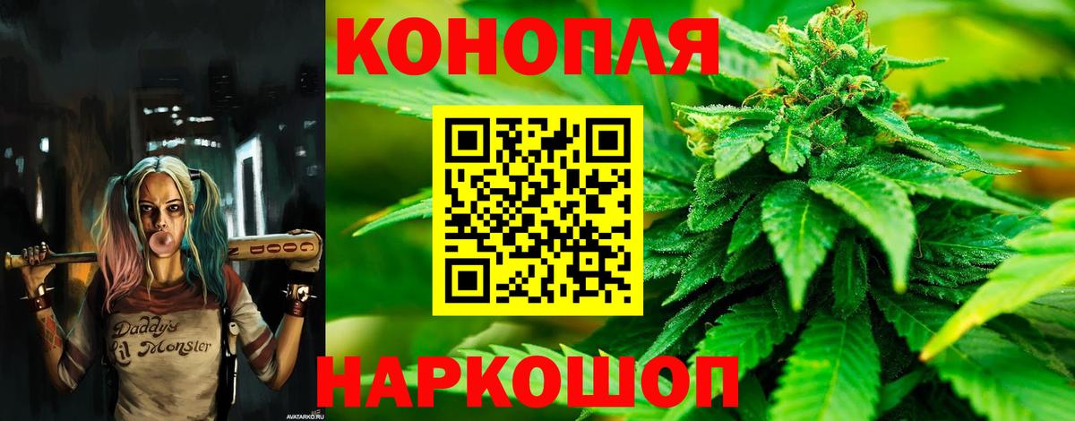 Канабис планчик Баксан